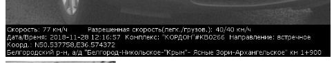 -154973833_456239375.jpg