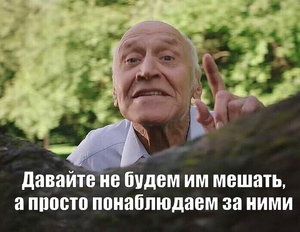1753689041758.png