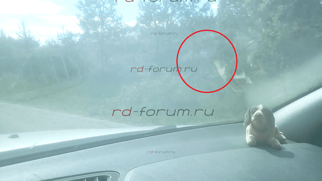 Радар-детектор TrendVision Drive-700 и кардон м2 (1).mp4_snapshot_00.32_[2018.07.03_19.24.04].png