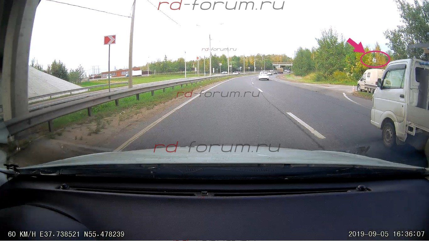 СКАТина на бронике.jpg