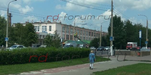 Сокол.jpg