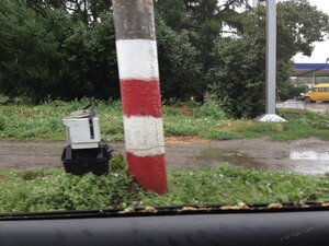 IMG_3781.JPG