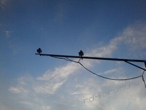 20160525_193100.jpg
