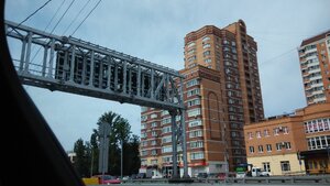 IMG_20160619_110034.jpg