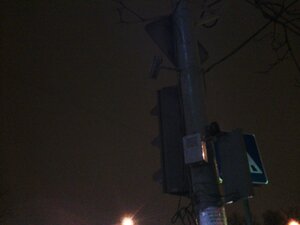 муляж над светофором.jpg