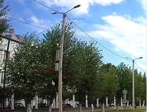 солнечная.jpg