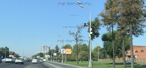 IMG_8268.jpg