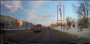 Кречет.jpg