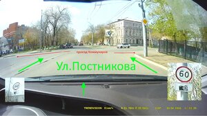 тополя кордон.jpg