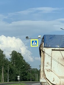 IMG_1493.jpg
