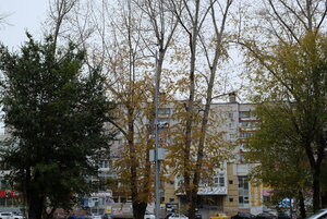 DSCF7088.JPG