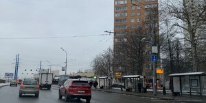 4435.JPG