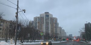 4679.JPG