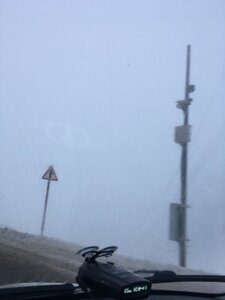 IMG_4972.JPG