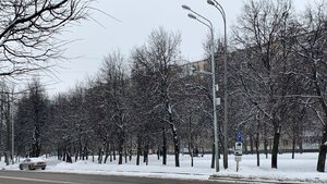 5140.JPG