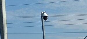 IMG_20210703_105013.jpg