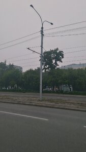 IMG_20210807_191244.jpg