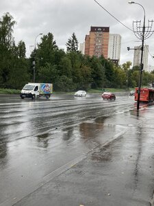 IMG_4405.JPG