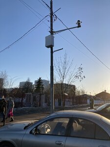 IMG_5386.JPG
