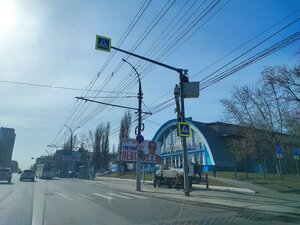 IMG_20230403_153336_3.jpg