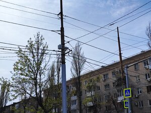 IMG_20230412_133400.jpg