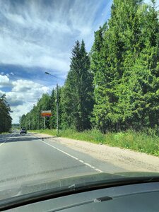 IMG20240623105930.jpg