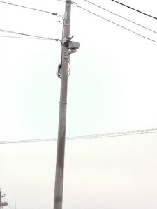 IMG-20250201-WA0798.jpg