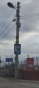 IMG_20250405_093129.jpg