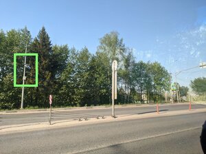 БелавиноАист2.jpg