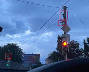 Мангусты Одесс.jpg