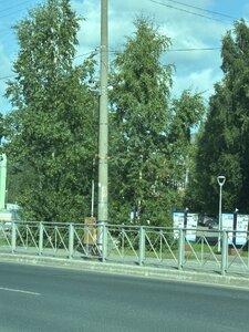 IMG_6042.jpeg