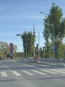 IMG_3853.jpeg