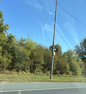 IMG_4079.JPG