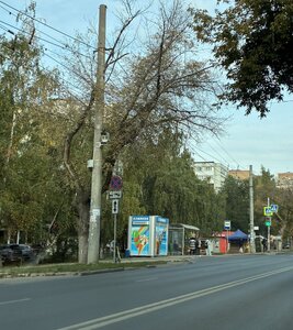 IMG_4128.JPG