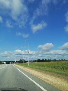 IMG_20250825_100332.jpg