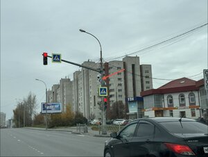 IMG_4474.jpeg