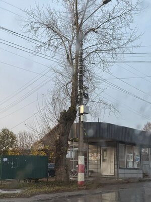 2025-10-29 at 10.31.29.jpeg