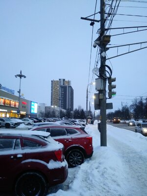 20260221_172722 Миля.jpg