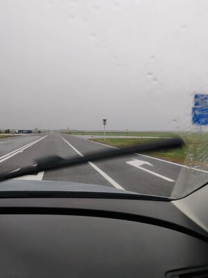 IMG_20261010_174442.jpg