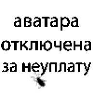 serp161