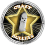 CrazyBullet