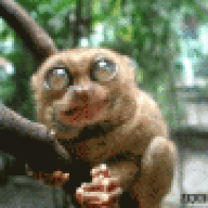 THelper