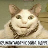 spodvignik