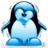 pompon