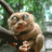 THelper