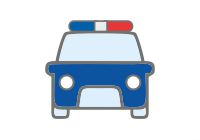 мобильный комплекс для патрульного автомобиля 